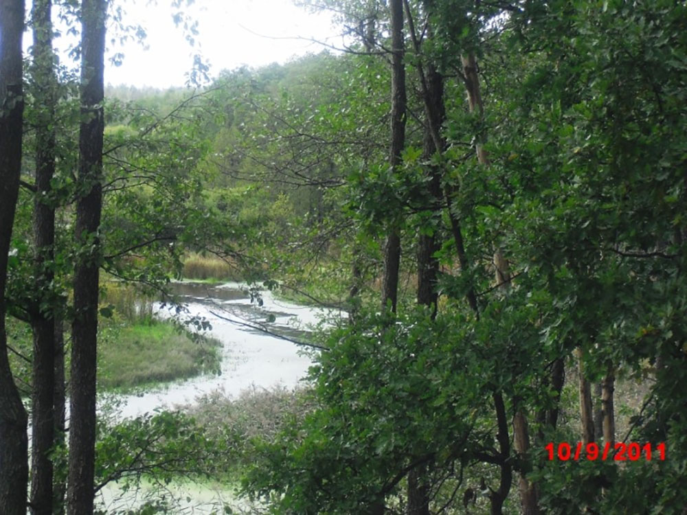 Вид на речку Белизна в Дубровсом районе